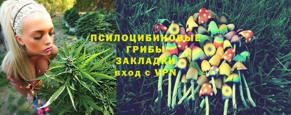 ALPHA PVP Алзамай