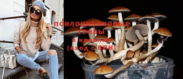 спиды Алексин
