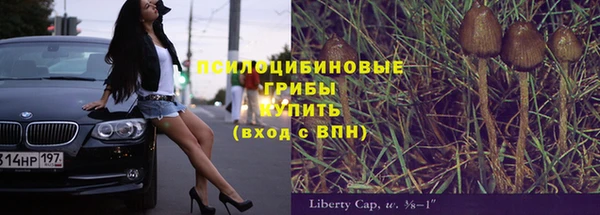 спиды Алексин