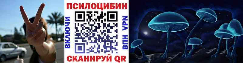 Псилоцибиновые грибы Psilocybe  наркотики  OMG вход  Куса 